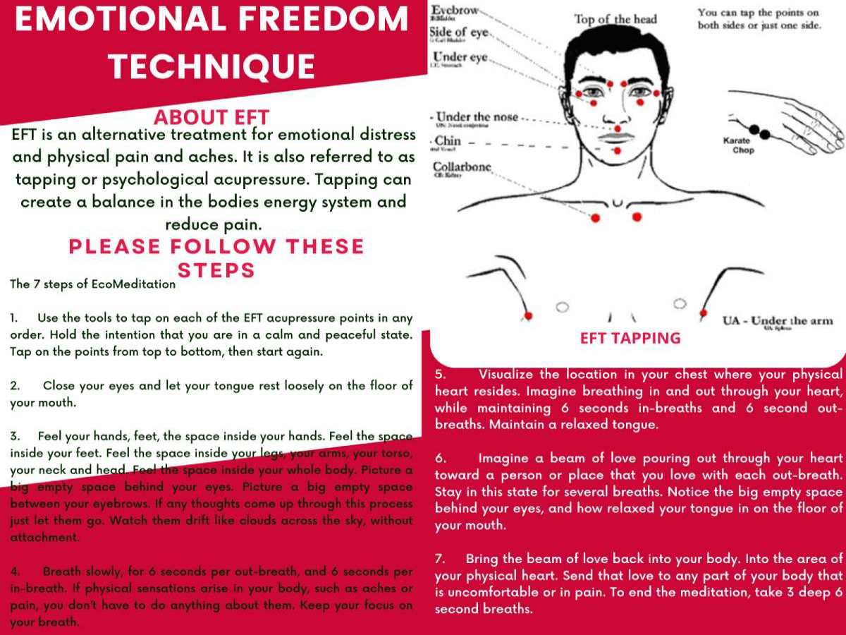 User manual for EFT